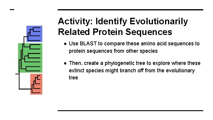 Activity: Identify Evolutionarily Related Protein Sequences ● Use BLAST to compare these amino acid