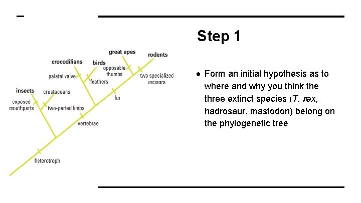 Step 1 ● Form an initial hypothesis as to where and why you think