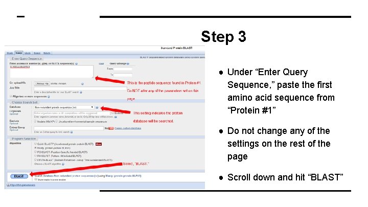 Step 3 ● Under “Enter Query Sequence, ” paste the first amino acid sequence