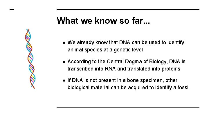 What we know so far. . . ● We already know that DNA can