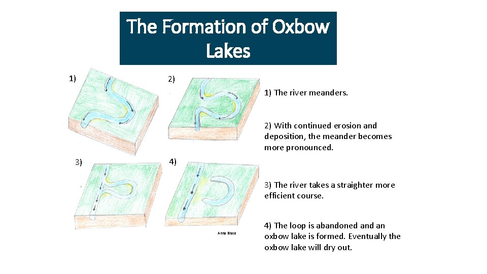 The Formation of Oxbow Lakes 1) 2) 1) The river meanders. 2) With continued
