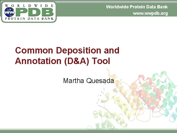 Worldwide Protein Data Bank November 6, 2009 www. wwpdb. org Common Deposition and Annotation
