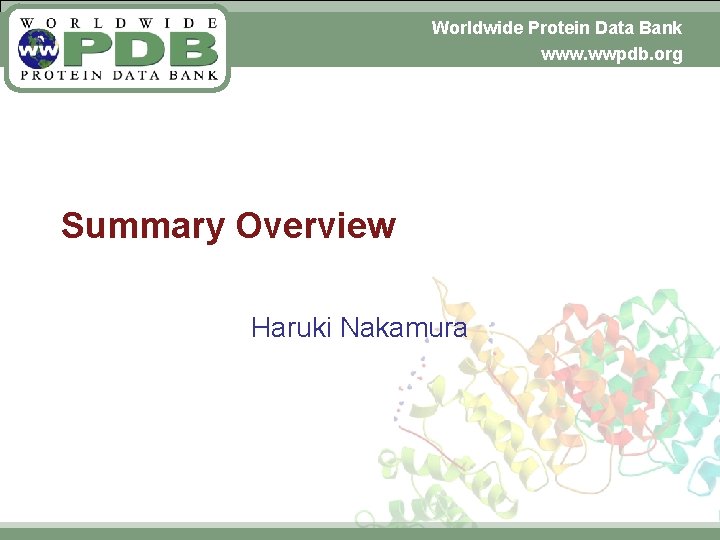 Worldwide Protein Data Bank November 6, 2009 www. wwpdb. org Summary Overview Haruki Nakamura