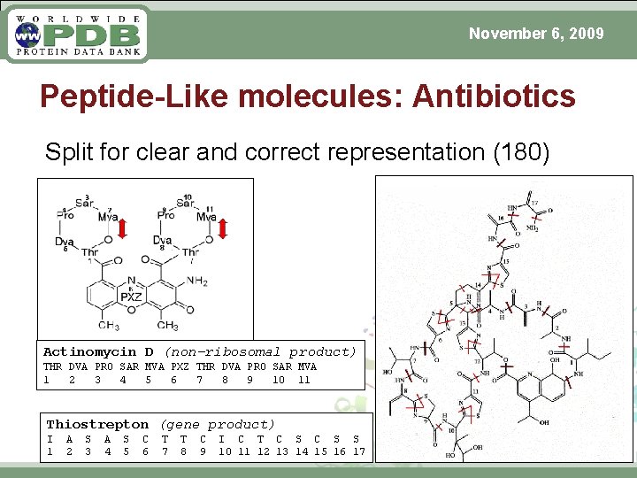 November 6, 2009 Peptide-Like molecules: Antibiotics Split for clear and correct representation (180) Actinomycin