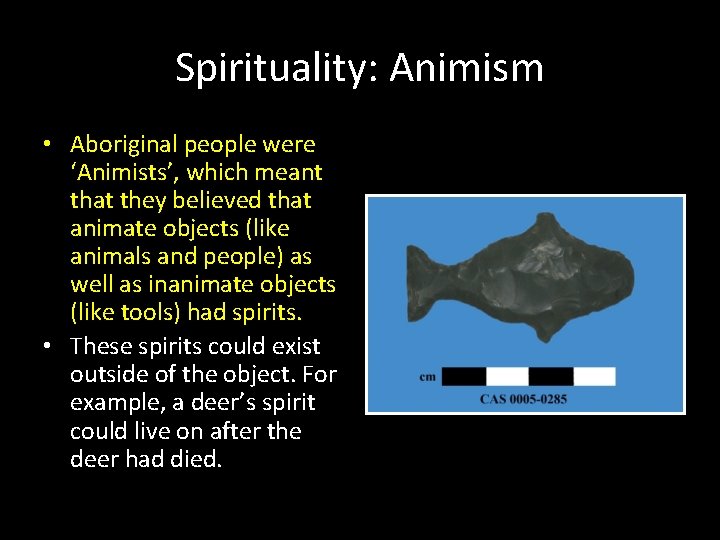 Spirituality: Animism • Aboriginal people were ‘Animists’, which meant that they believed that animate