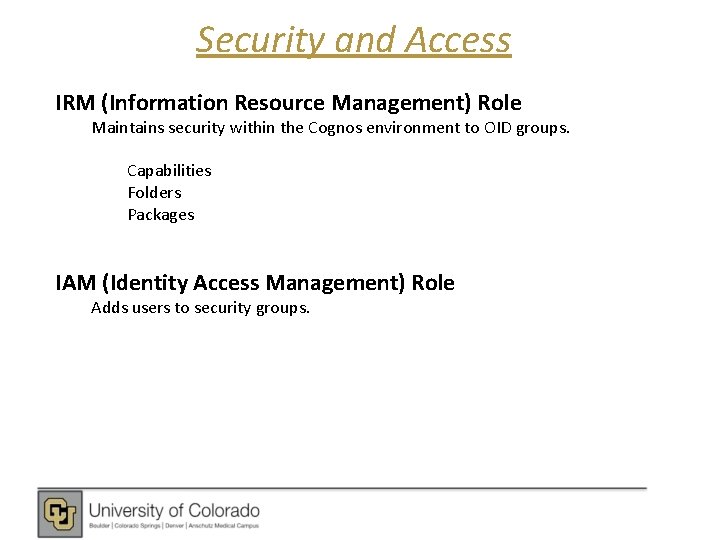 Security and Access IRM (Information Resource Management) Role Maintains security within the Cognos environment