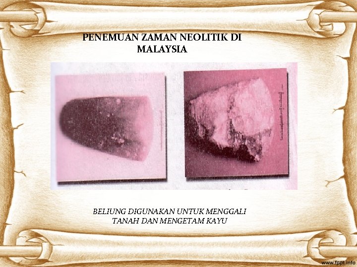 PENEMUAN ZAMAN NEOLITIK DI MALAYSIA BELIUNG DIGUNAKAN UNTUK MENGGALI TANAH DAN MENGETAM KAYU 