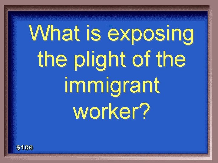 What is exposing the plight of the immigrant worker? 1 - 100 