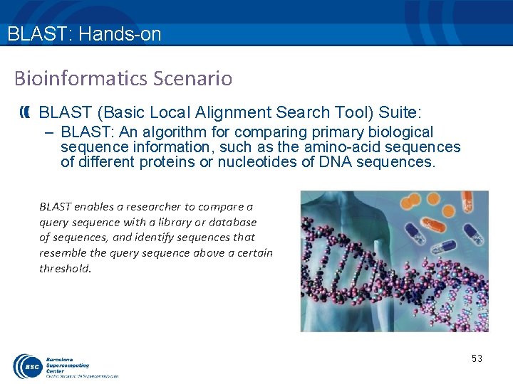 BLAST: Hands-on Bioinformatics Scenario BLAST (Basic Local Alignment Search Tool) Suite: – BLAST: An