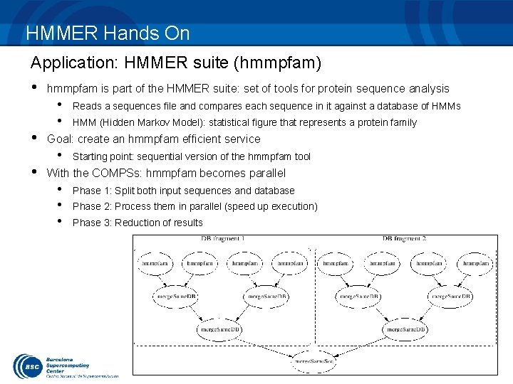 HMMER Hands On Application: HMMER suite (hmmpfam) • hmmpfam is part of the HMMER