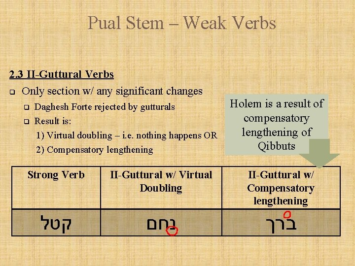 Pual Stem – Weak Verbs 2. 3 II-Guttural Verbs q Only section w/ any