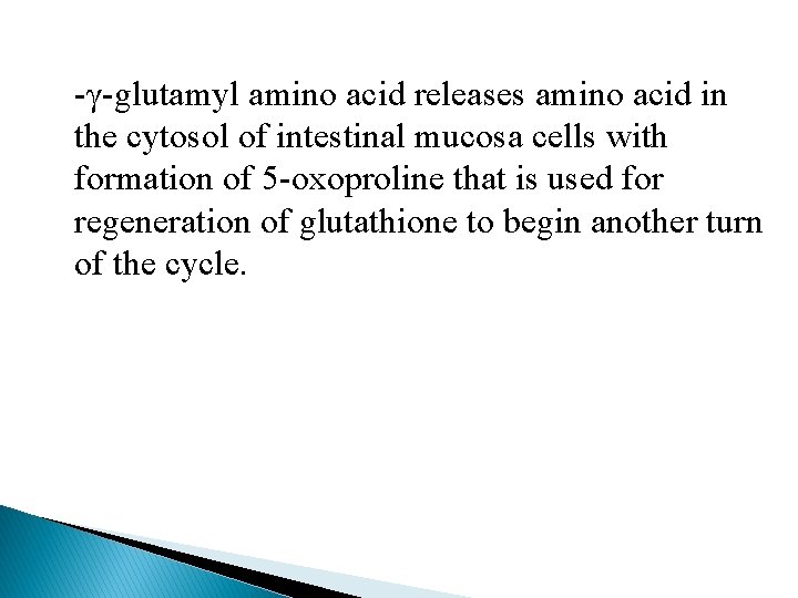 -γ-glutamyl amino acid releases amino acid in the cytosol of intestinal mucosa cells with