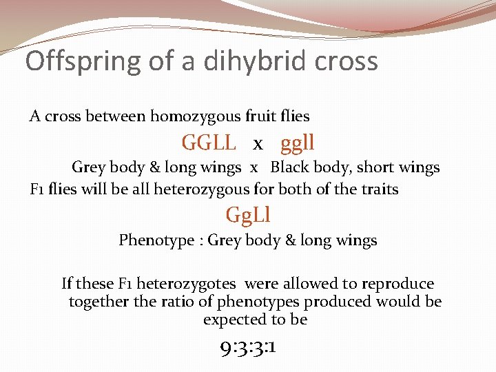 Offspring of a dihybrid cross A cross between homozygous fruit flies GGLL x ggll