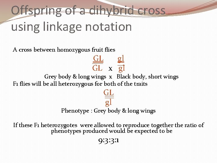 Offspring of a dihybrid cross using linkage notation A cross between homozygous fruit flies