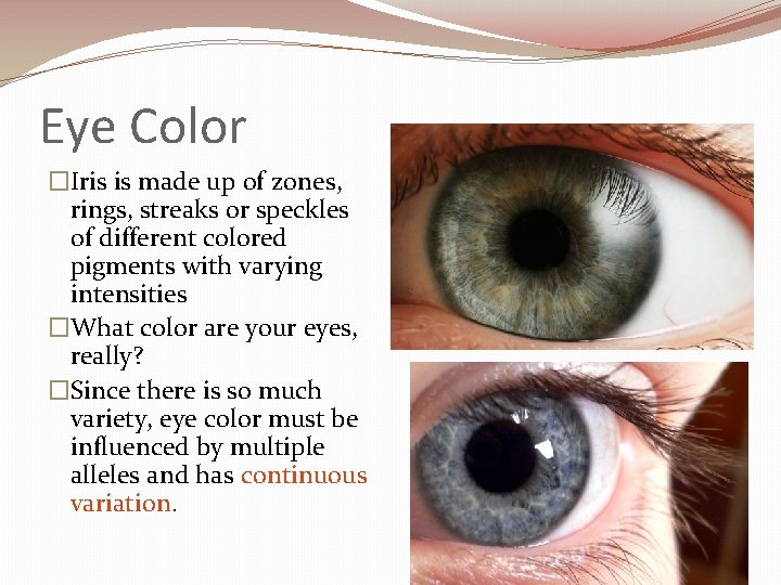 Eye Color �Iris is made up of zones, rings, streaks or speckles of different