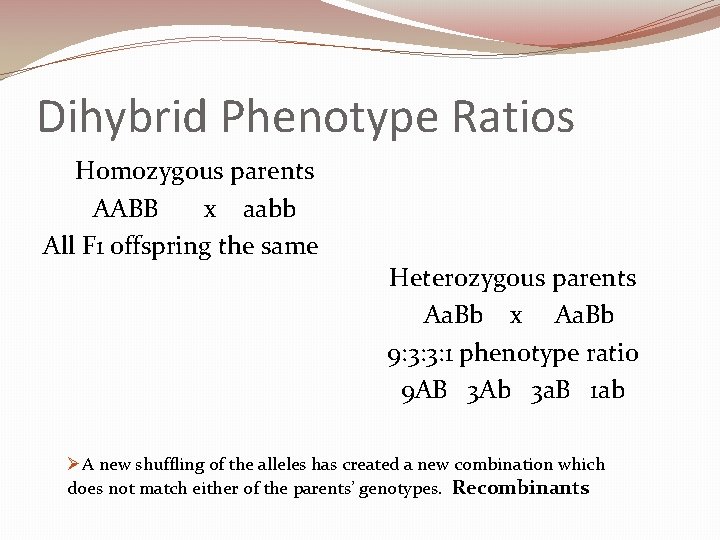 Dihybrid Phenotype Ratios Homozygous parents AABB x aabb All F 1 offspring the same