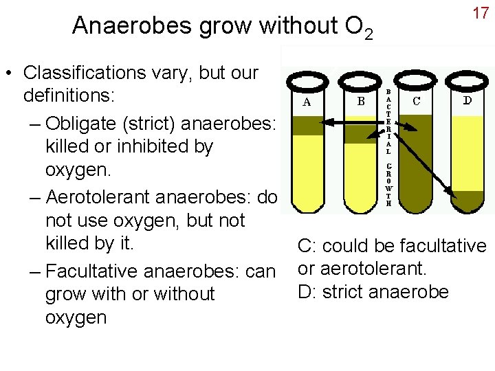 Anaerobes grow without O 2 17 • Classifications vary, but our definitions: – Obligate