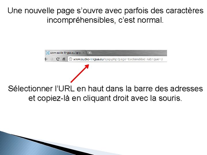 Une nouvelle page s’ouvre avec parfois des caractères incompréhensibles, c’est normal. Sélectionner l’URL en