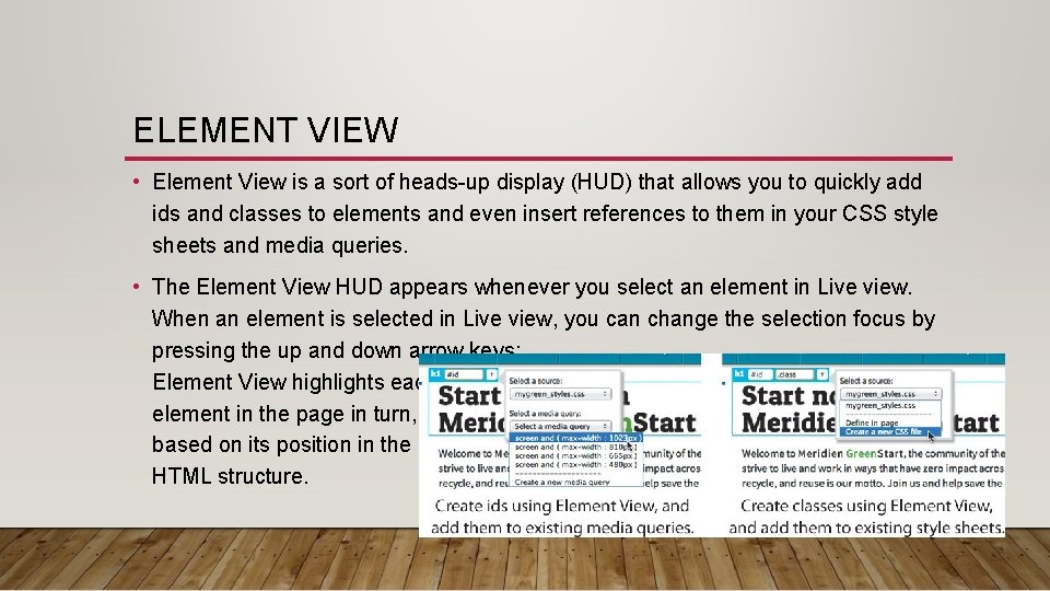 ELEMENT VIEW • Element View is a sort of heads-up display (HUD) that allows
