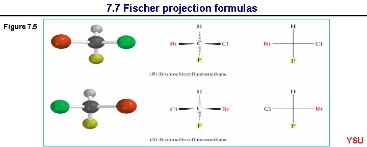7. 7 Fischer projection formulas Figure 7. 5 YSU 