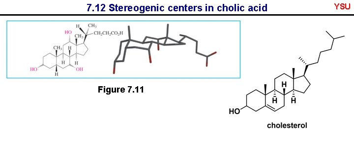 7. 12 Stereogenic centers in cholic acid Figure 7. 11 YSU 