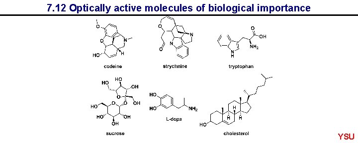 7. 12 Optically active molecules of biological importance YSU 