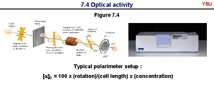 7. 4 Optical activity Figure 7. 4 Typical polarimeter setup : [a]D = 100