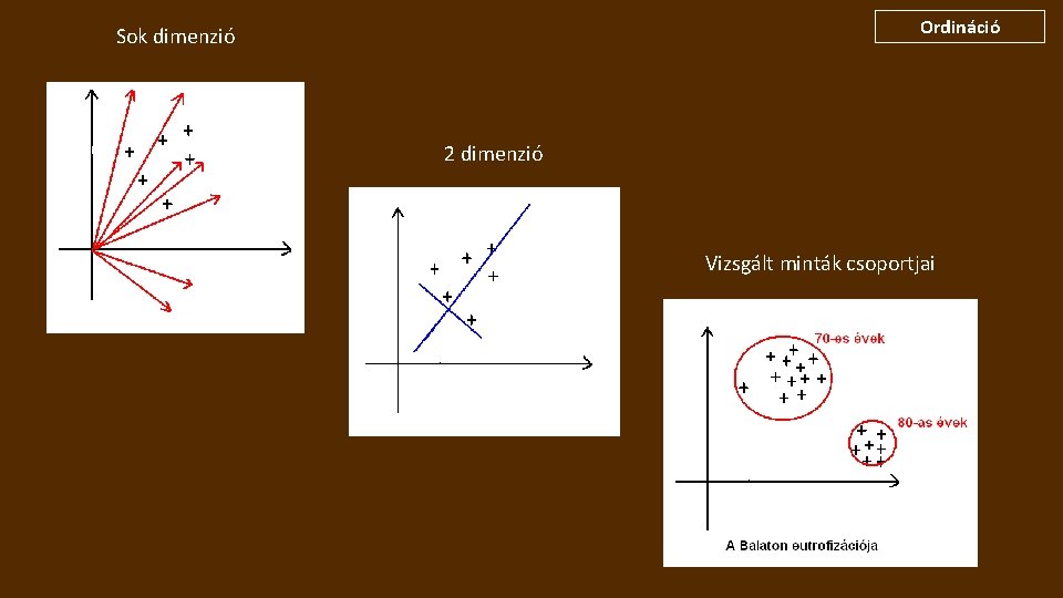 Ordináció Sok dimenzió 2 dimenzió Vizsgált minták csoportjai 