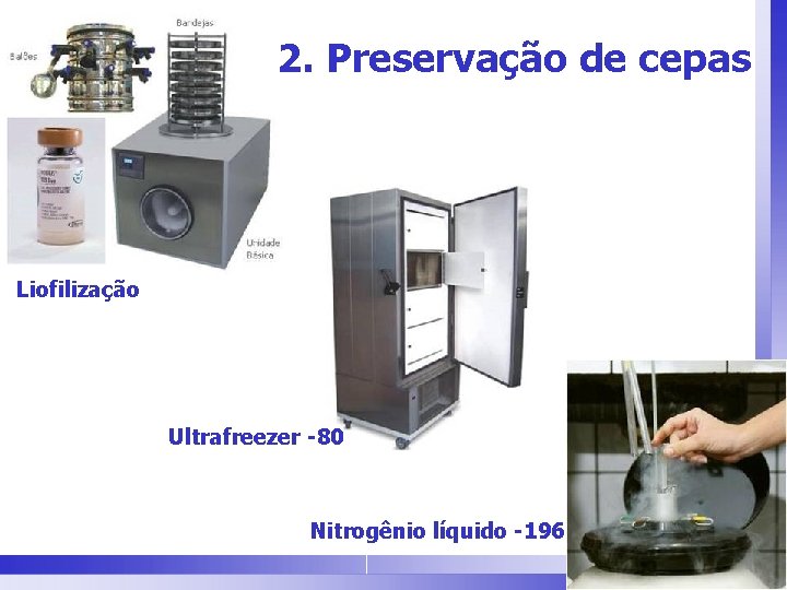 2. Preservação de cepas Liofilização Ultrafreezer -80 Nitrogênio líquido -196 