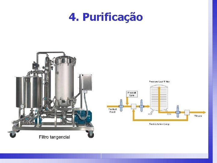 4. Purificação 