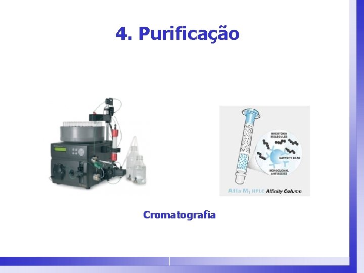 4. Purificação Cromatografia 