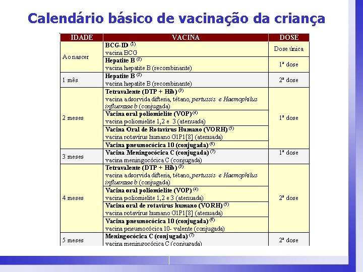 Calendário básico de vacinação da criança 