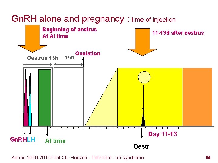 Gn. RH alone and pregnancy : time of injection Beginning of oestrus At AI