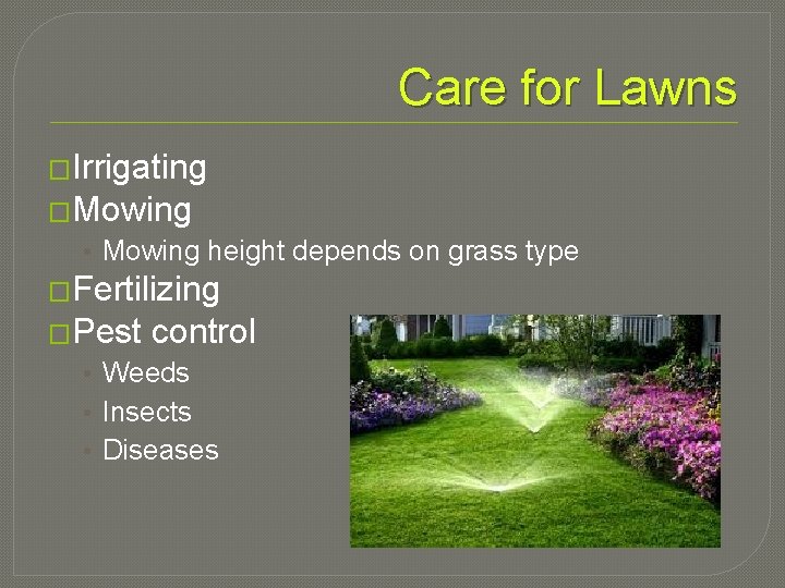 Care for Lawns �Irrigating �Mowing • Mowing height depends on grass type �Fertilizing �Pest