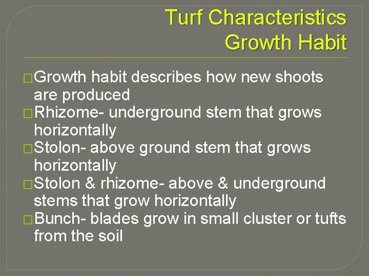 Turf Characteristics Growth Habit �Growth habit describes how new shoots are produced �Rhizome- underground