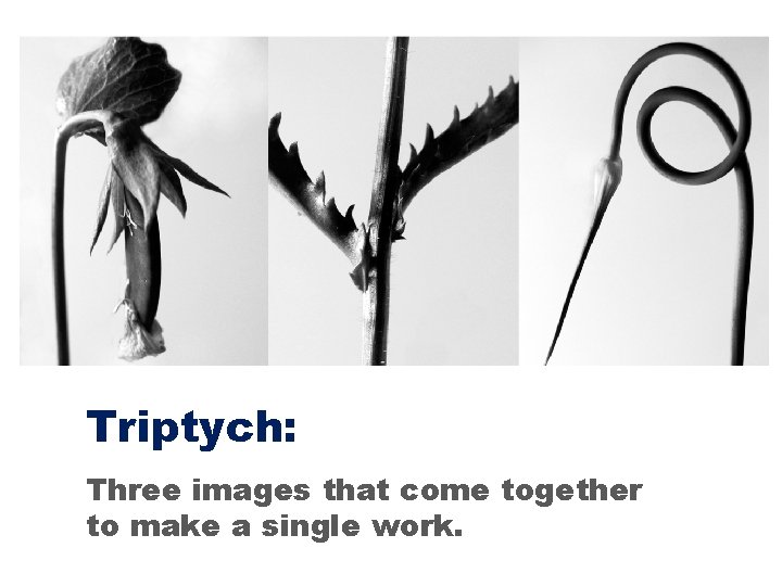 Triptych: Three images that come together to make a single work. 