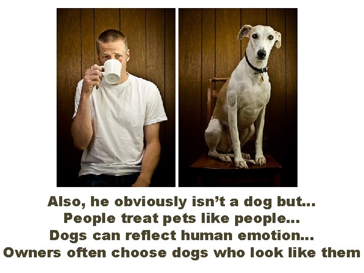 Also, he obviously isn’t a dog but… People treat pets like people… Dogs can