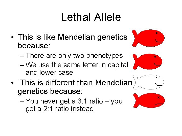 Lethal Allele • This is like Mendelian genetics because: – There are only two