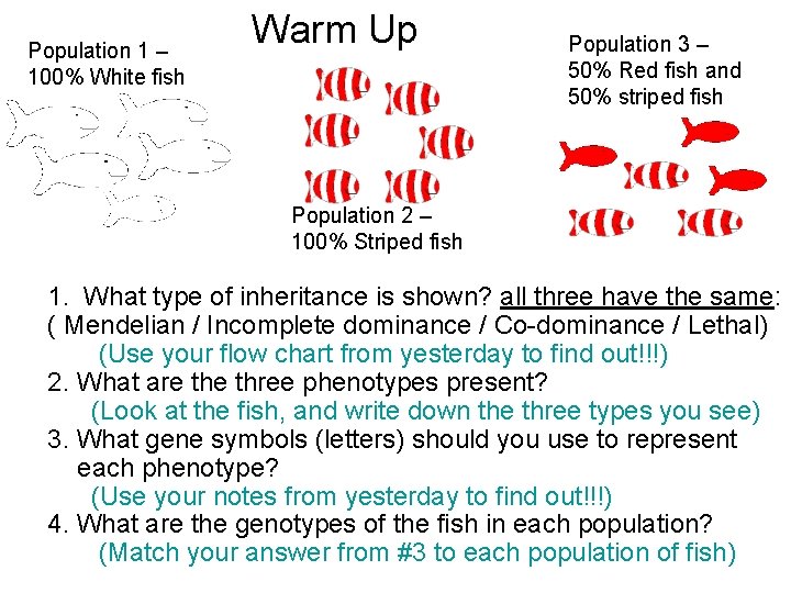 Population 1 – 100% White fish Warm Up Population 3 – 50% Red fish