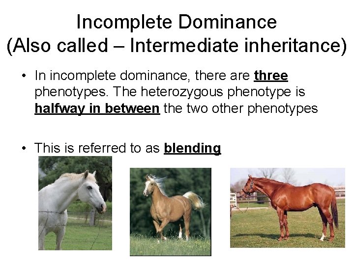 Incomplete Dominance (Also called – Intermediate inheritance) • In incomplete dominance, there are three