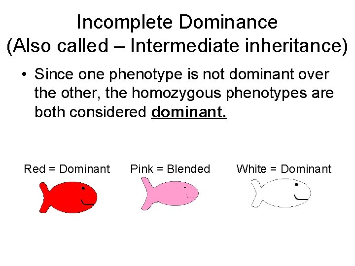 Incomplete Dominance (Also called – Intermediate inheritance) • Since one phenotype is not dominant