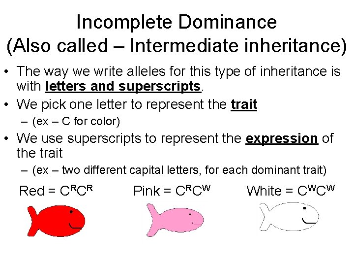Incomplete Dominance (Also called – Intermediate inheritance) • The way we write alleles for