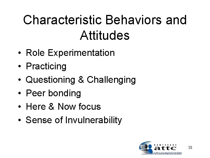 Characteristic Behaviors and Attitudes • • • Role Experimentation Practicing Questioning & Challenging Peer