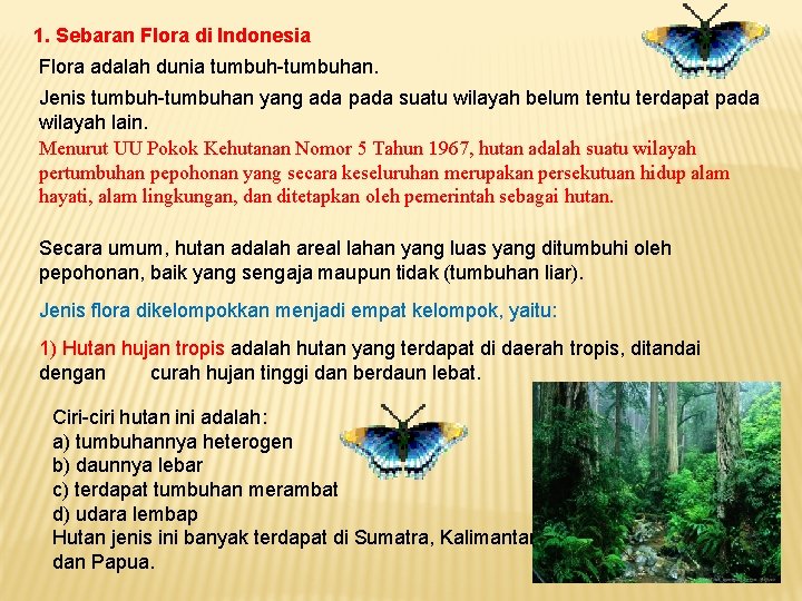 1. Sebaran Flora di Indonesia Flora adalah dunia tumbuh-tumbuhan. Jenis tumbuh-tumbuhan yang ada pada