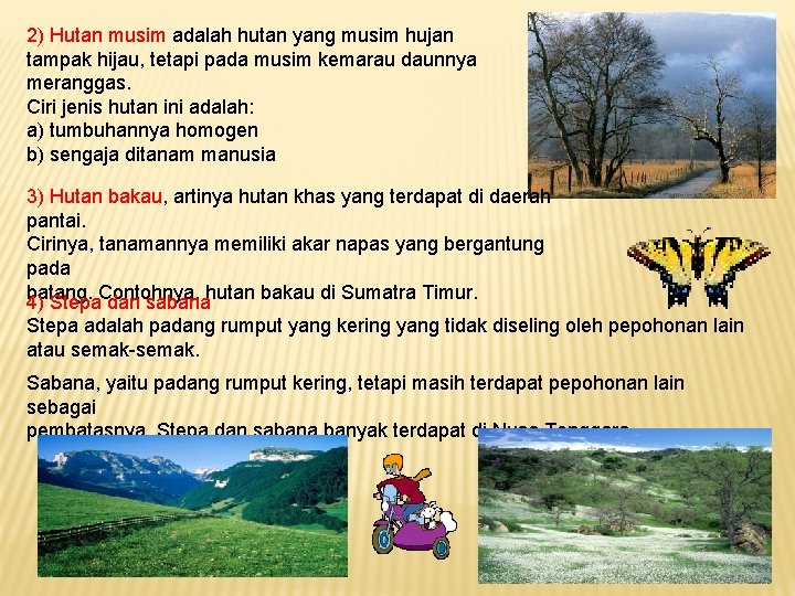 2) Hutan musim adalah hutan yang musim hujan tampak hijau, tetapi pada musim kemarau
