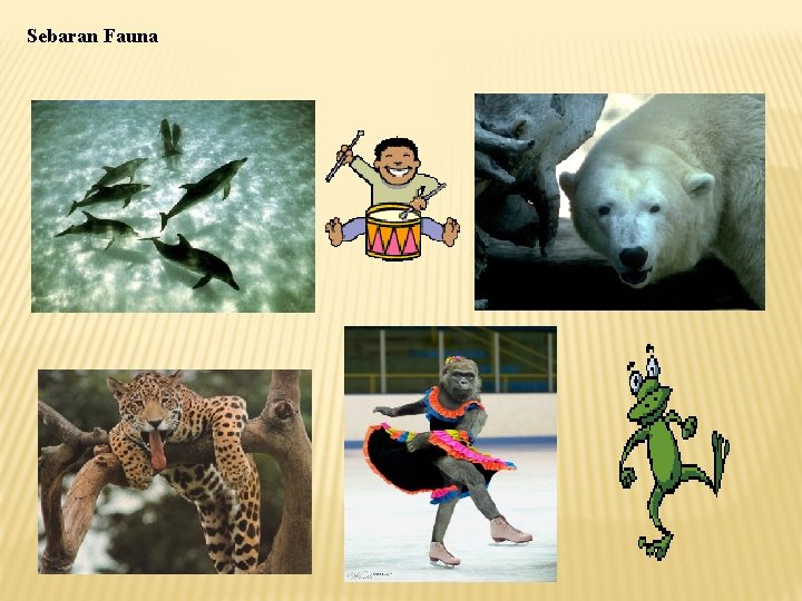 Sebaran Fauna 