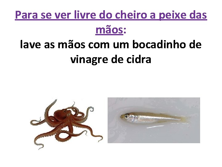 Para se ver livre do cheiro a peixe das mãos: lave as mãos com