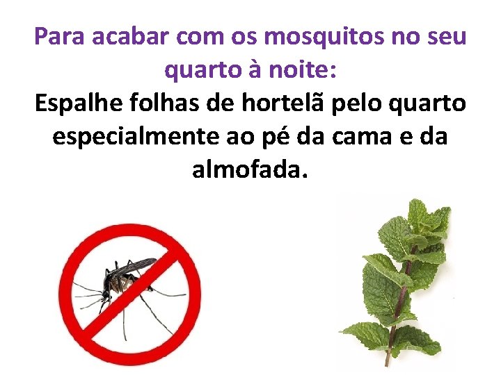 Para acabar com os mosquitos no seu quarto à noite: Espalhe folhas de hortelã