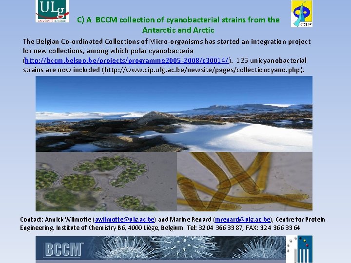 C) A BCCM collection of cyanobacterial strains from the Antarctic and Arctic The Belgian