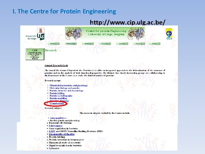 I. The Centre for Protein Engineering http: //www. cip. ulg. ac. be/ 